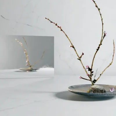 Caesarstone Porcelain 504 Lumena