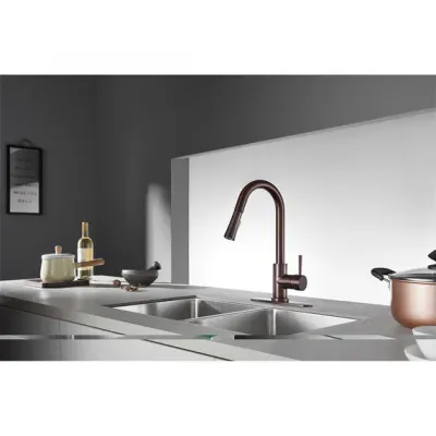 Kingston Concord LS8625DL Single-Handle Pull-Down Kitchen Faucet, Oil Rubbed Bronze