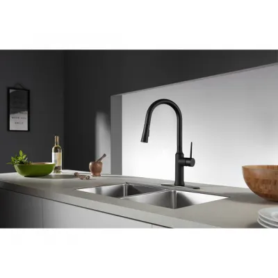 Kingston New York LS2720NYL Single-Handle Pull-Down Kitchen Faucet, Matte Black