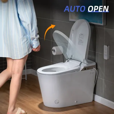 WOODBRIDGE Intelligent Smart Bidet Toilet