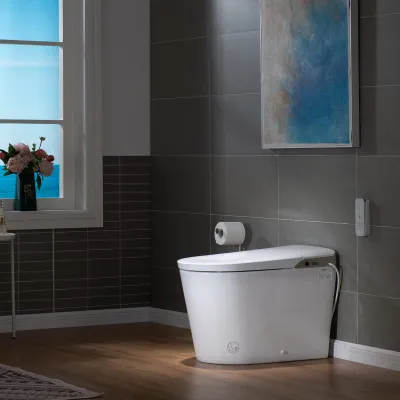 WOODBRIDGE Intelligent Smart Bidet Toilet