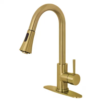 Kingston Concord LS8723DL Single-Handle Pull-Down Kitchen Faucet, Brushed Brass